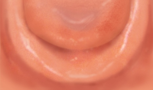 0歳児のお口-下顎